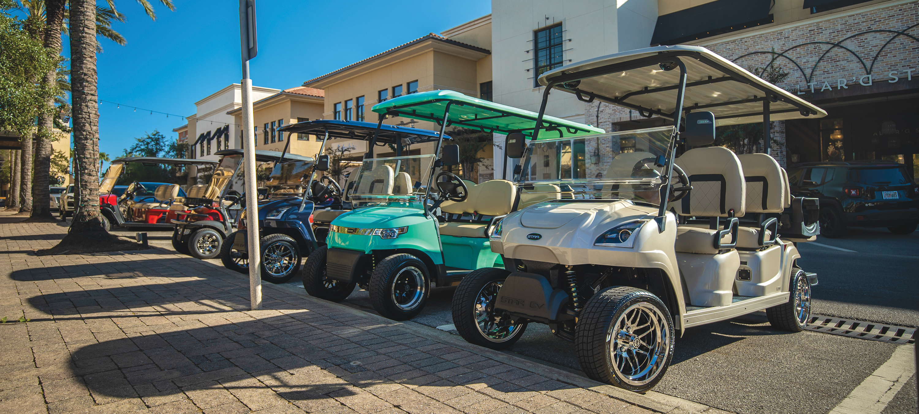 Sandusky Bay Cart Rentals and Sales